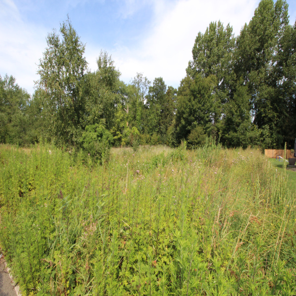 Offres de vente Terrain Merlimont 62155